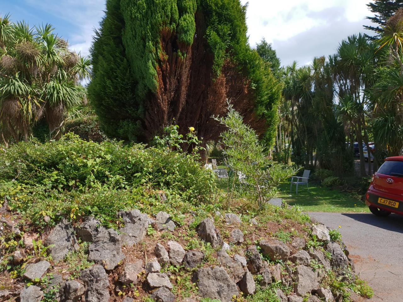 Sherwood Palm Hotel Torquay Eksteriør bilde
